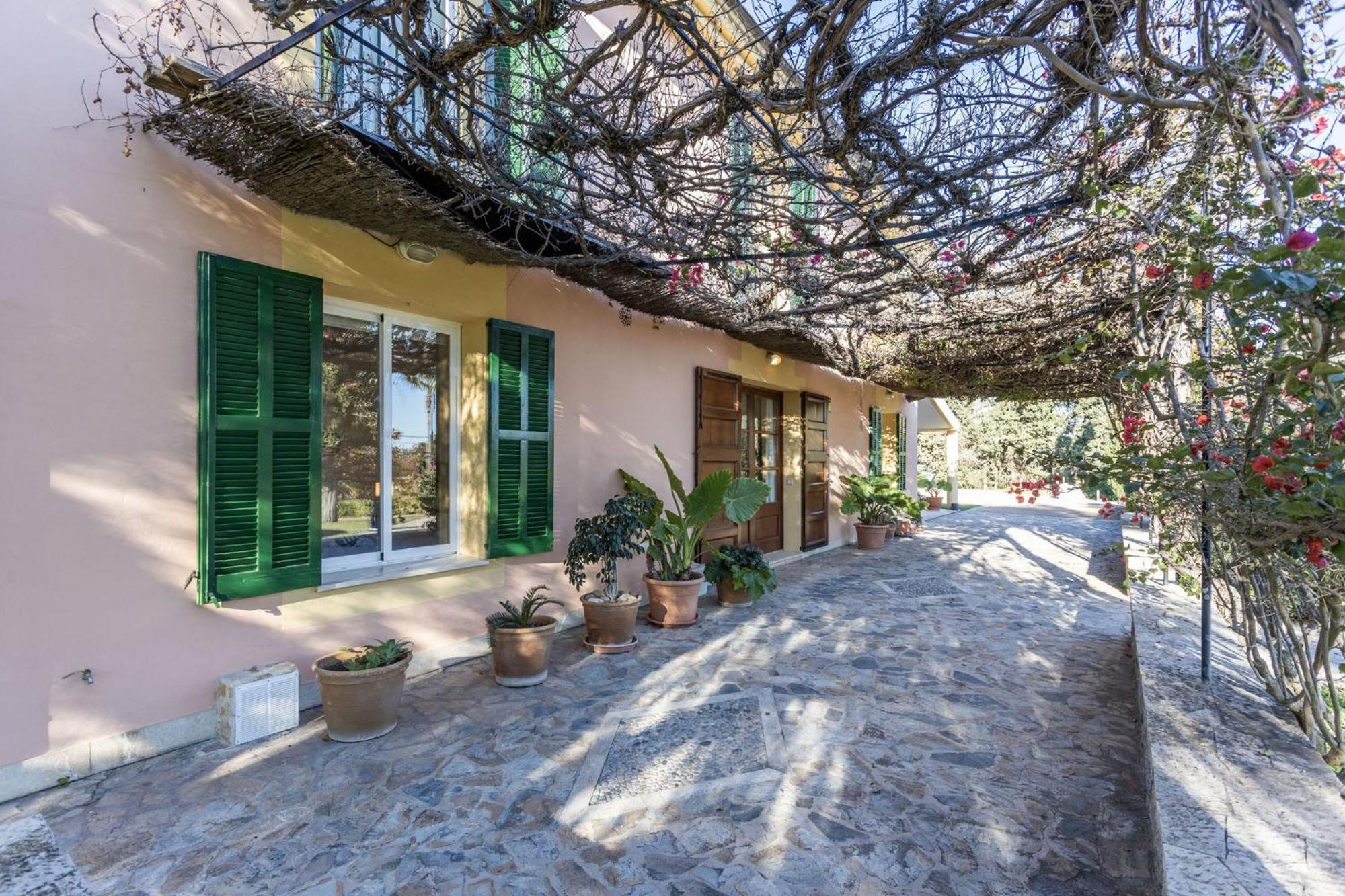 Villa Can Mateu 印卡 外观 照片